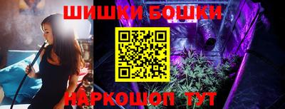 гашик Будённовск