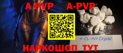 гашик Будённовск