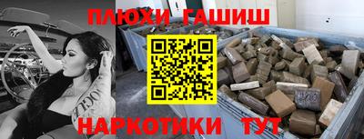 гашик Будённовск