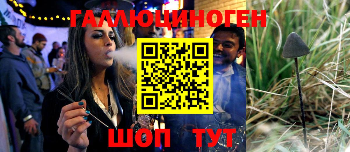 Псилоцибиновые грибы GOLDEN TEACHER Бирск