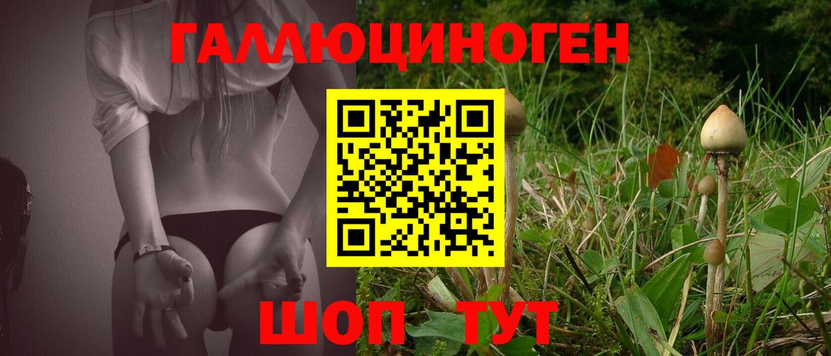Галлюциногенные грибы Psilocybe  Псилоцибиновые грибы мицелий  Бирск  Вход с VPN 